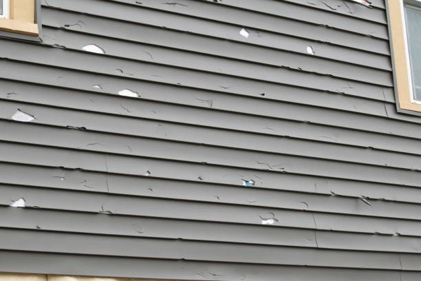 Best Residential Junk Removal  in Loyalhanna, PA