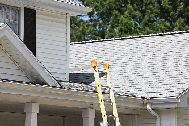 Best Same-Day Junk Removal Services  in Loyalhanna, PA